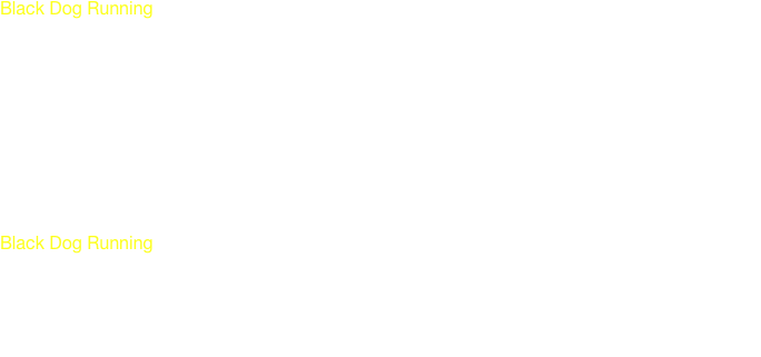 Black Dog Running is a lyrical exploration of filmmaker Scott ray Becker’s recovery from clinical depression (the Black Dog) through his relationship with his ailing father, an old dog and an artist with developmental disabilities.

The short documentary blends personal essay observations and cinema verite revelations with unexpected humor to convey a universal story of psychic struggle and human spirit.

The film shines an authentic light into an interior state of mind that effects millions of Americans.

Black Dog Running was conceived, written and principally shot by filmmaker Scott ray Becker over the past 7 years as he reestablished his life and film career after undergoing electro-convulsive shock therapy (E.C.T.) for treatment of a debilitating depression. During his subsequent rehabilitation at a residential treatment program in San Rafael, CA,
Mr. Becker developed the narrative thread for this project.

                           
  


